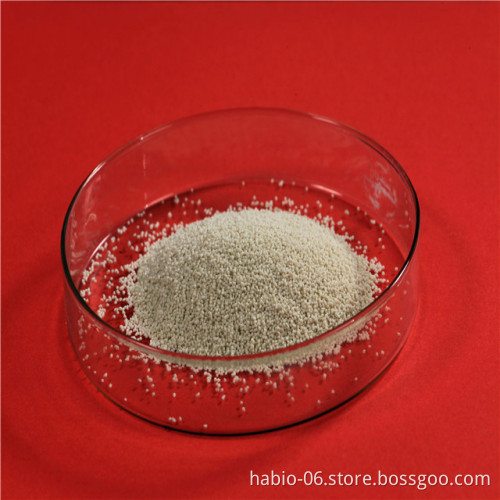 Food additive Lipase enzyme chemical agent